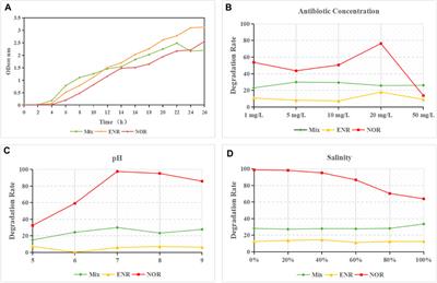 Study on the degradation and metabolic mechanism of four quinolone antibiotics by mixed strains